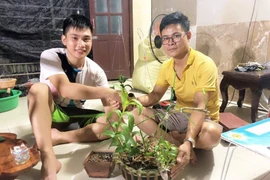 Vỡ nợ hàng trăm tỷ vì ôm mộng làm giàu từ lan đột biến