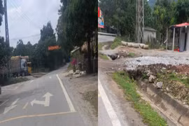 Vụ trạm cân hoạt động trái phép ở Quảng Bình: Chính quyền có làm ngơ cho sai phạm? 