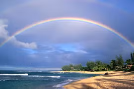 6 dấu hiệu chứng tỏ Thần Tài sắp gõ cửa nhà bạn