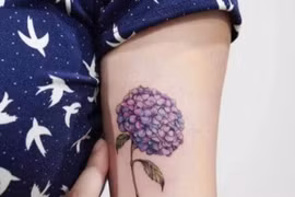 Video: Cô gái yêu cầu một hình xăm bông hoa đẹp và cái kết