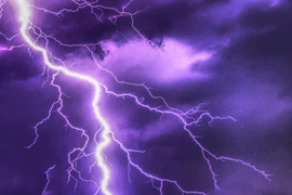 Hai cha con bị sét đánh thương vong trong lúc trú mưa dưới gốc cây