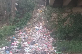 Nhiều người vô ý thức xả rác bừa bãi, bờ sông ngập ngụa túi nylon