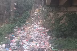 Nhiều người vô ý thức xả rác bừa bãi, bờ sông ngập ngụa túi nylon