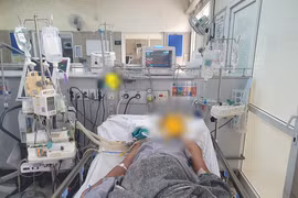 Ngư dân đi biển ngừng tim vì ăn cua mặt quỷ