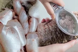 Những bộ phận 'đại bổ' của cá, giàu dinh dưỡng nhất
