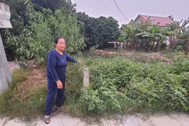 Hải Dương: Hàng xóm tố gia đình Bí thư huyện Thanh Hà lấn chiếm đất