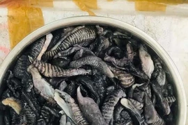 Nấm biển có gì ngon bổ... chị em rầm rộ mua dân buôn bán vài tạ mỗi ngày?