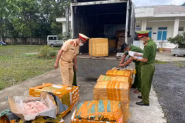 Chặn đứng hơn 2 tấn nầm lợn hôi thối trên đường đi tiêu thụ