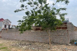 Hà Nội: Ai dung túng cho hàng loạt công trình xây dựng không phép?