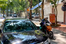 Hà Nội: Hoảng hồn cành cây 3m rơi xuyên thủng kính lái ô tô