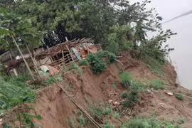 Bờ sông Hồng sạt lở, hơn 20 hộ dân sợ bị “Hà Bá” nuốt chửng