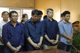 Vụ 'logo xe vua', 80 CSGT, Thanh tra giao thông bị 'tố' nhận hối lộ