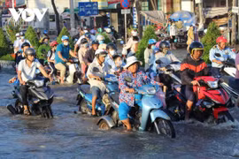 Dân Cần Thơ bơi trên đường vì triều cường