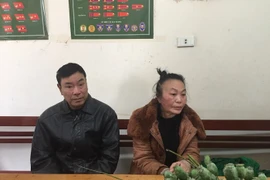 Tạm giữ cặp đôi mang 18kg quả thuốc phiện tươi đi tiêu thụ