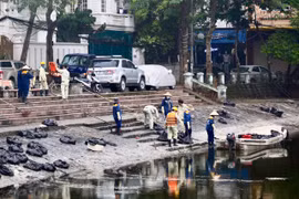 Cá chết hàng loạt ở hồ Hoàng Cầu, Hà Nội