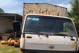 Bị phát hiện chở gỗ lậu, nhiều lâm tặc “bỏ của chạy lấy người”