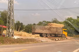 Trạm cân trái phép trên Quốc lộ 12C ở Quảng Bình bị tháo dỡ