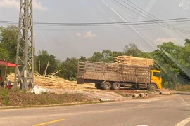 Trạm cân trái phép trên Quốc lộ 12C ở Quảng Bình bị tháo dỡ