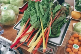 Người Hà Nội ''phát sốt'' với những loại rau quả đẹp không nỡ ăn