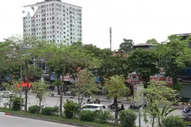 Dự án bãi đỗ xe tĩnh dọc phía Nam đường Đại Cồ Việt: 20 năm chưa hẹn ngày về đích