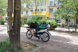 Hà Nội nóng gần 40 độ, người lao động trốn nắng thế nào?