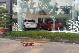 Đang đứng trên vỉa hè thì bị ô tô lao lên đâm chết