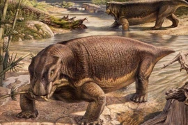 Trước khủng long, ai là lãnh chúa cai trị Trái Đất? 