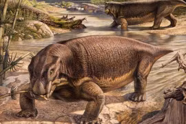 Trước khủng long, ai là lãnh chúa cai trị Trái Đất? 