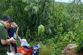 Quảng Bình: Phát hiện bộ xương người trong rừng keo