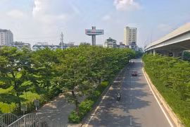 Sau 5 năm chặt hàng cây cổ thụ, đường Phạm Văn Đồng rợp màu xanh