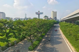 Sau 5 năm chặt hàng cây cổ thụ, đường Phạm Văn Đồng rợp màu xanh