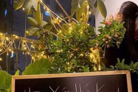  Loạt lời nhắn gây 'cười muốn nội thương' bởi thông điệp không ai nghĩ đến