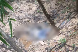 Phát hiện thi thể người đàn ông đang phân huỷ trong rừng