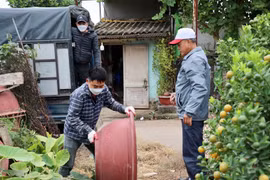 Quất cảnh Tứ Liên náo nức một mùa bội thu