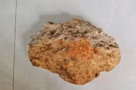 Xôn xao nhặt được long diên hương cực hiếm ở Phú Quốc? 