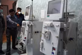 Độc đáo nghĩa địa chôn cất gần 200 cá Ông, thờ phụng như người