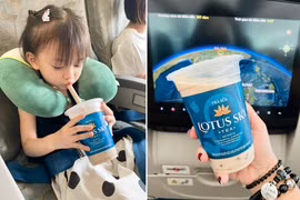 NCS lãi đậm nhờ bán trà sữa cho Vietnam Airlines