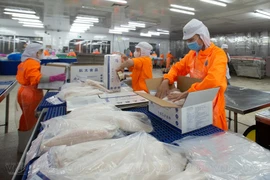 Lợi nhuận 2023 Thủy sản Nam Việt chỉ đạt 10,9% kế hoạch