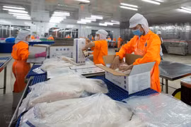 Lợi nhuận 2023 Thủy sản Nam Việt chỉ đạt 10,9% kế hoạch