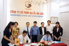 Địa ốc Sài Gòn doanh thu giảm 84,8%, không chia cổ tức 2023