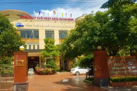 Bà Vũ Thị Dương Chủ tịch QBS xin từ nhiệm