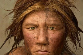 Ngắm dung nhan "khó đỡ" của phụ nữ thời tiền sử