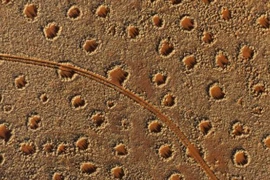 Vòng tròn thần bí trên sa mạc hé mở bí mật?