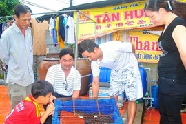 Vụ cá sấu “sủa như chó“: Các chuyên gia nói gì?