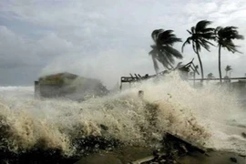 Các tỉnh từ Quảng Bình- Cà Mau chủ động ứng phó bão