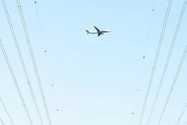 Đây là lý do người ta lại đặt những quả bóng trên cáp điện cao thế