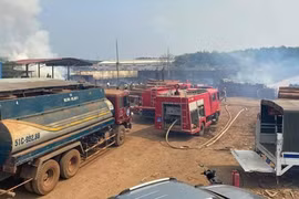 Điều tra vụ hỏa hoạn trong bãi gỗ Chi cục Hải quan Hoàng Diệu ở Bình Phước