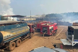 Điều tra vụ hỏa hoạn trong bãi gỗ Chi cục Hải quan Hoàng Diệu ở Bình Phước