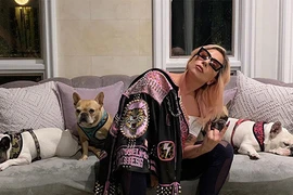 Hai chú chó của Lady Gaga được tặng đồ hiệu, đi máy bay riêng