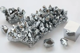 Số cuối năm sinh tiết lộ điều gì về bạn?